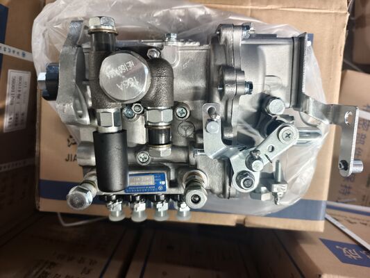 495AG Запасная часть дизельного двигателя - Впрыск топлива - 495A-30000